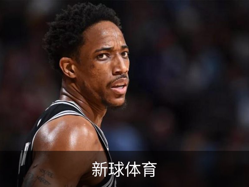 新球体育简介